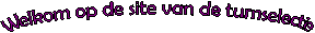 Welkom op de site van de turnselectie